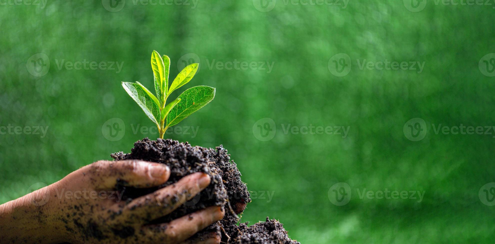 Nuevas estrategias para proteger a la naturaleza