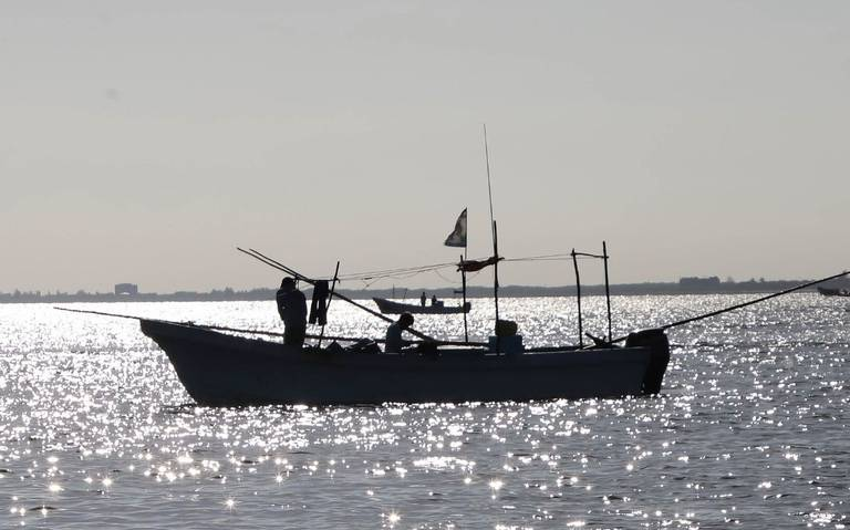 México avanza en plan para proteger vaquita marina y combatir pesca ilegal de totoaba