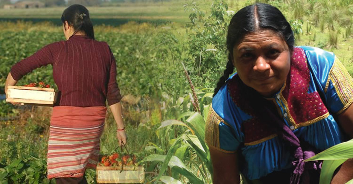 Mujer rural, la otra cara de la actividad agropecuaria
