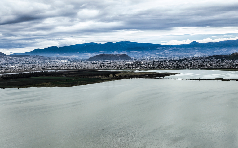 Proteger el lago Tláhuac-Xico garantiza riego en la zona