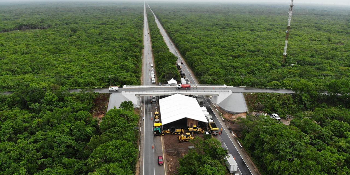 El falso ecologismo y la apertura del Tren Maya