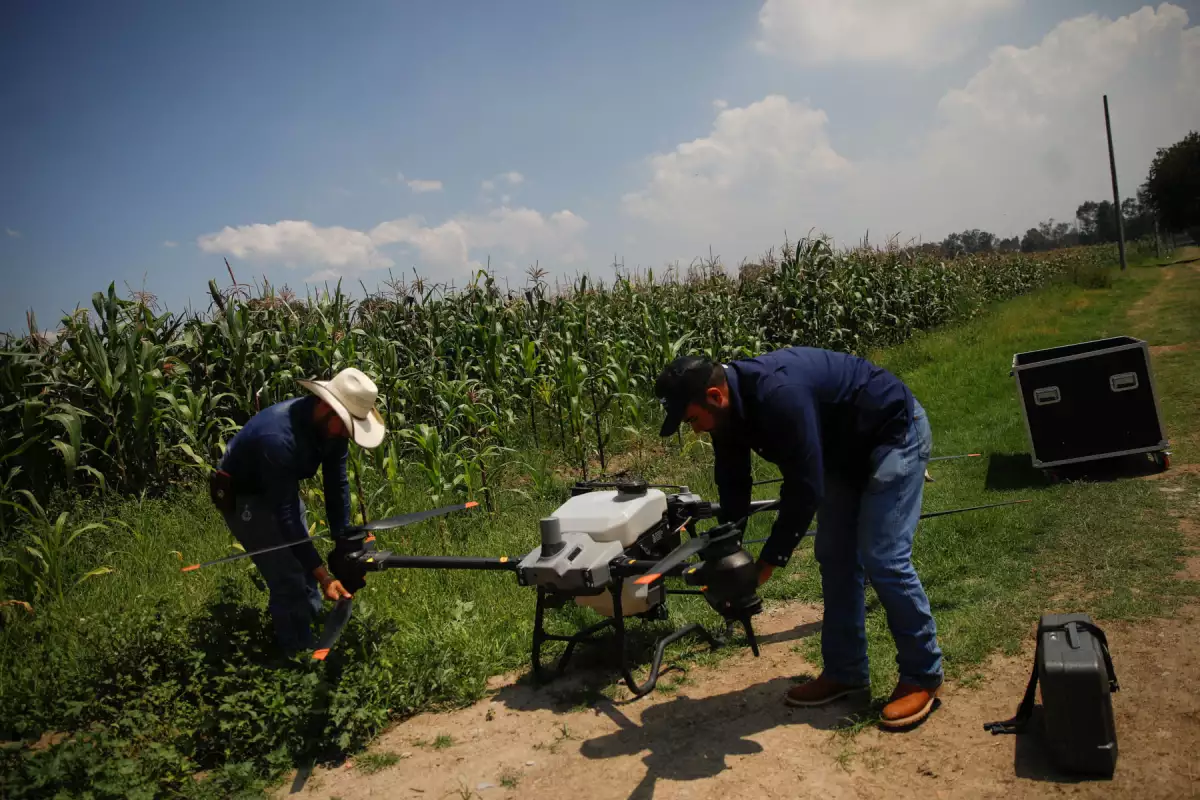 Baja la conectividad en zonas agrícolas de México en medio del cambio climático