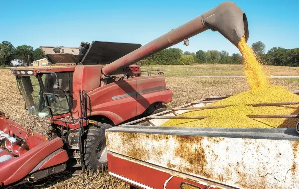 México restringió maíz transgénico sin una evaluación de riesgo: EU