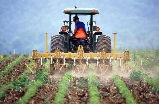 Cae 5.7% la producción agropecuaria y pesquera