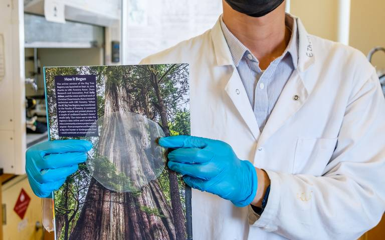 La madera, como una alternativa al problema del plástico