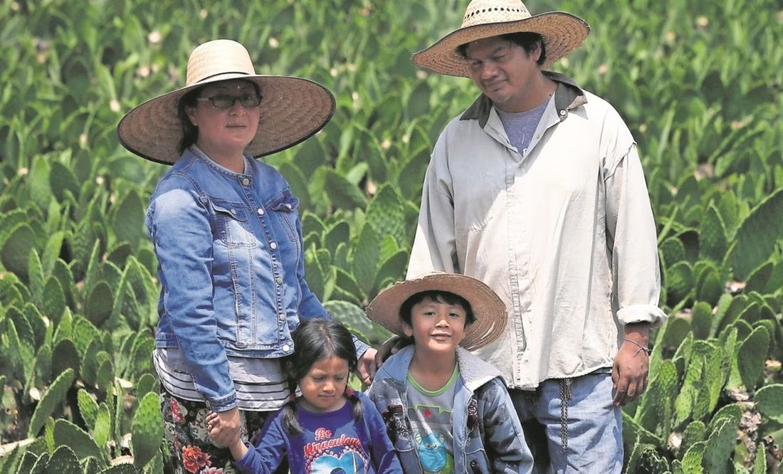 Población rural de México, mayor a la estimada: Cepal