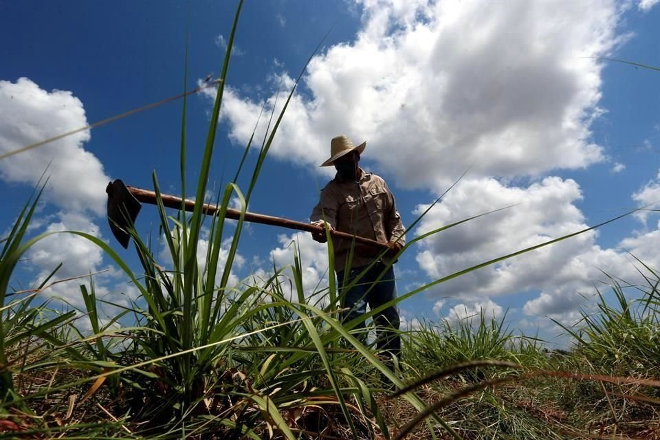 Genera incertidumbre reforma al campo.- CNA