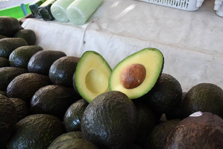 Michoacán, al borde del colapso por la demanda de aguacate