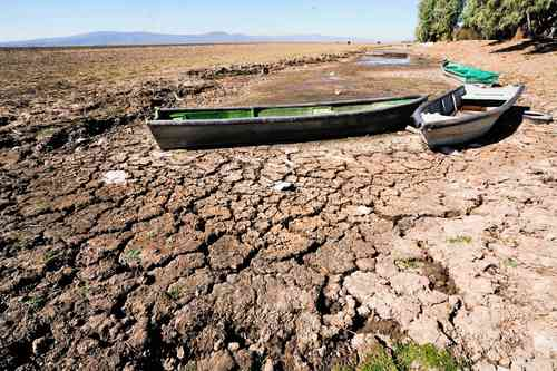 Pesca en el lago de Cuitzeo quedó en el recuerdo; el lado oriente ya está seco