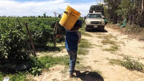 El impacto de las maquilas y el crimen organizado en el trabajo infantil en la frontera