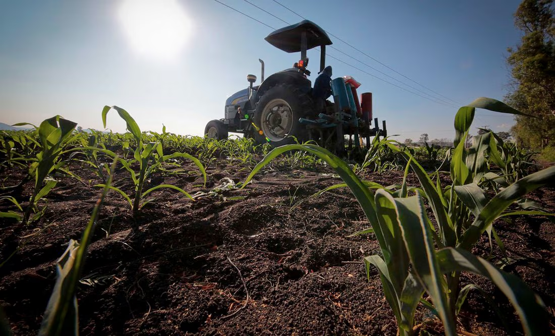 Balanza agroalimentaria de México registra superávit de mil 492 mdd en enero y febrero