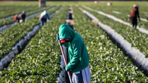 El campo sobrevive a un año de la desaparición de la Financiera Nacional de Desarrollo