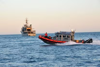 Cazón que no es cazón y pez conejo por robalo: un fraude para los mexicanos y una amenaza para el mar