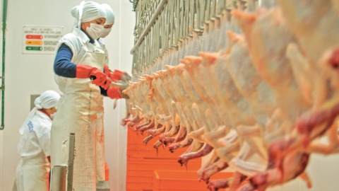 México aumentará compras de pollo desde EU con precios dumping
