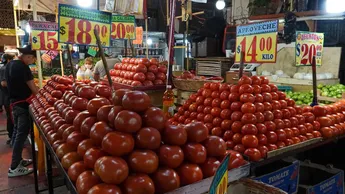 Ordenan reponer procedimiento por jitomate mexicano en Estados Unidos