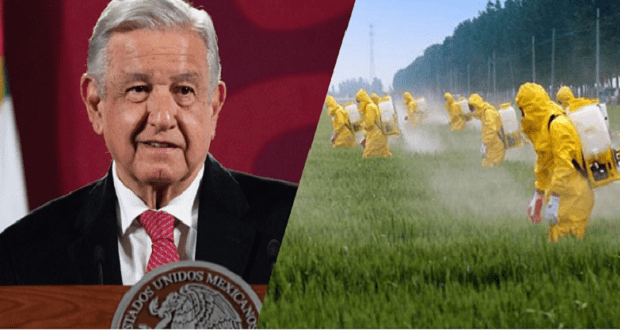 AMLO, el glifosato y la revolución agroecológica en México