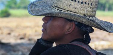 Niñas, niños y adolescentes en la zafra mexicana: ¿cuáles derechos?