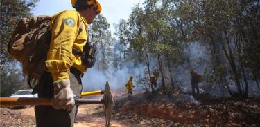 Frente a la devastación por 29 incendios diarios, menos presupuesto y equipo para Conafor