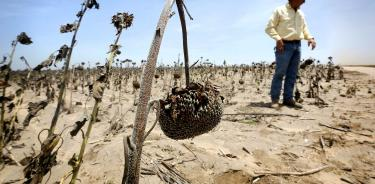 Congresistas de EU piden congelar ayudas a México por incumplimiento de entrega de agua