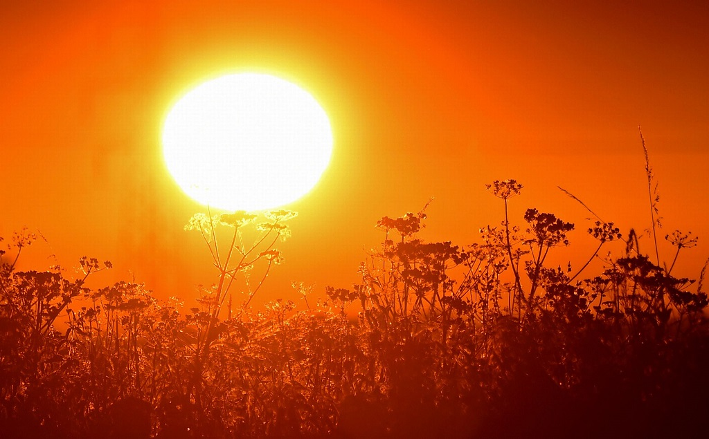 Olas de calor son más largas e intensas debido al cambio climático antropogénico