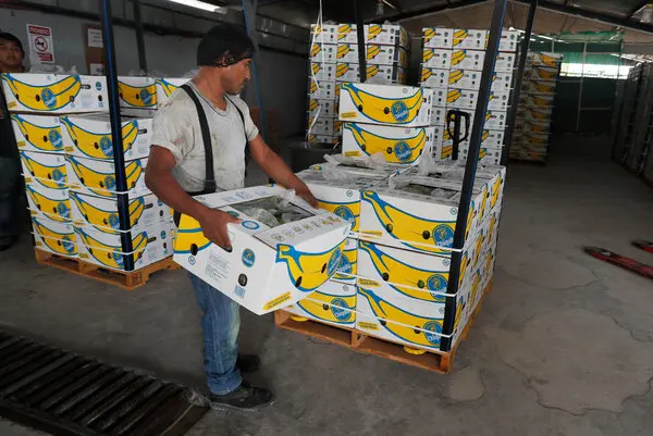 Chiquita declarada responsable de las muertes durante la guerra civil colombiana