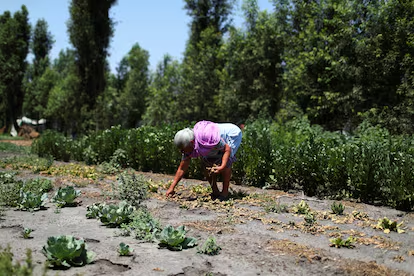 El cambio climático asciende al primer nivel de la agenda sanitaria mundial: “El impacto en la salud es real”