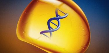 Desarrollan ámbar sintético para guardar ADN sin necesidad de congelarlo