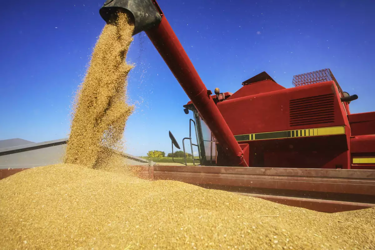 Exportadores venden 133,000 toneladas de maíz de EU a México