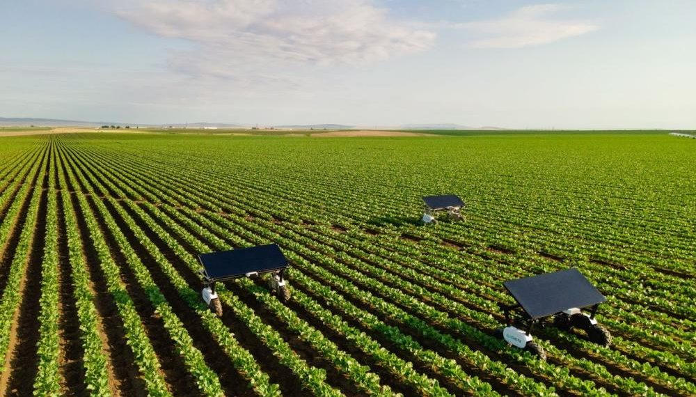 ¿Podrían los herbicidas robóticos reemplazar la necesidad de pesticidas?
