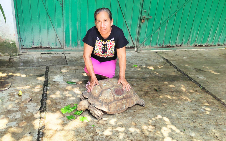 Agonizan unidades de conservación de vida silvestre en Chiapas