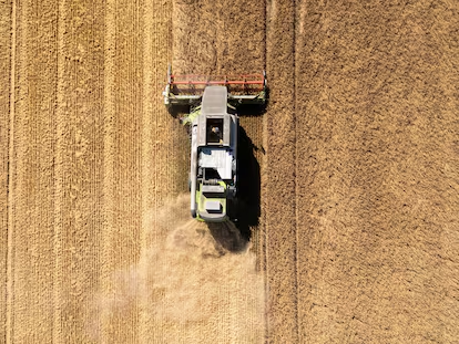 Los gigantes que mueven los hilos del sector agrícola y fijan el precio de la cesta de la compra