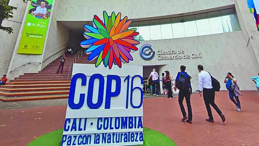 ¿Qué está sucediendo durante la COP16 de biodiversidad?