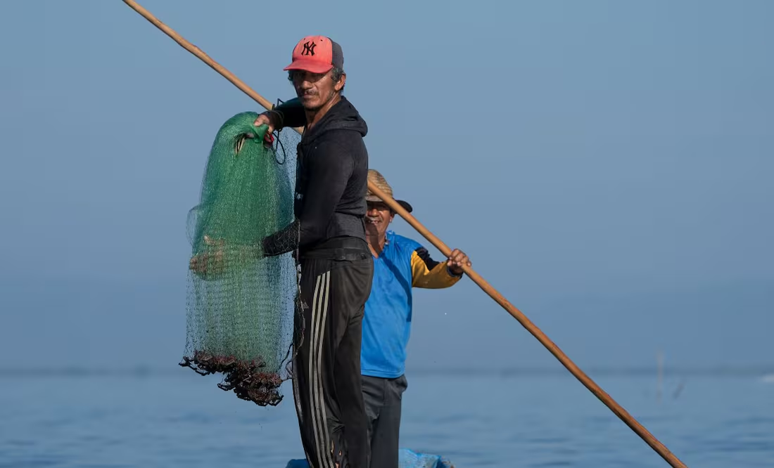 El ejército invisible que alimenta al mundo