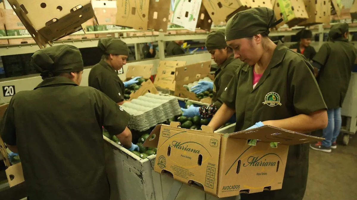 Exportaciones desaceleran en abril con más de 54 mil mdd