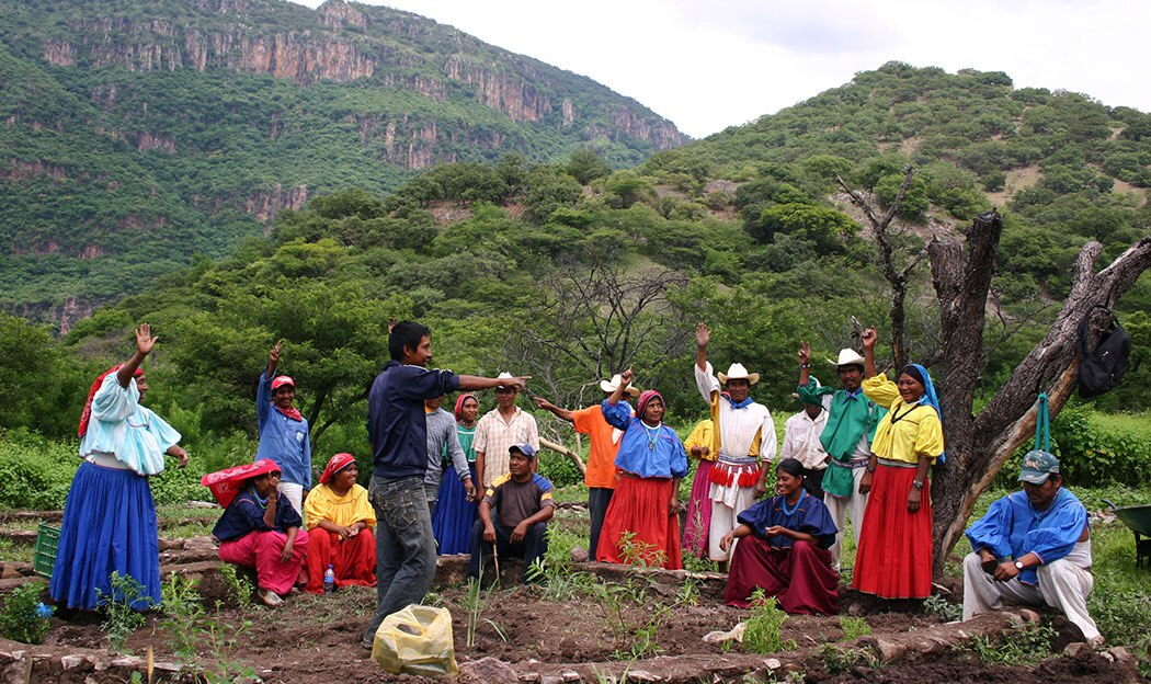 Educación ambiental y comunidades originarias