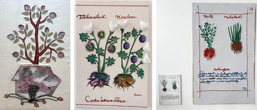 Observan con mirada creativa manuscrito prehispánico sobre plantas medicinales