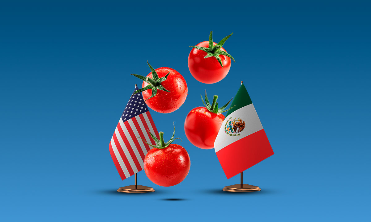 Tomateros, potencial pesadilla