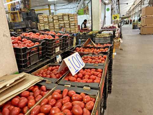 Aplica EU un arancel de 17.09% al jitomate mexicano; alega dumping