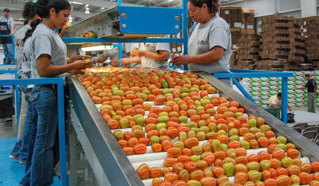 Ante la incertidumbre, disminuyen exportaciones agroalimentarias: BdeM