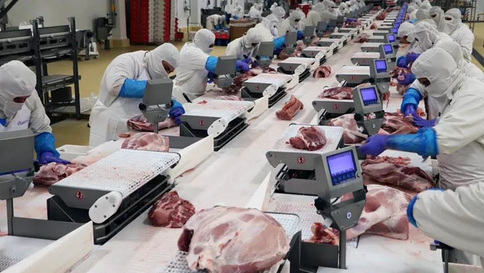 Productores de cerdo mexicanos alertan ‘dumping’ de EU