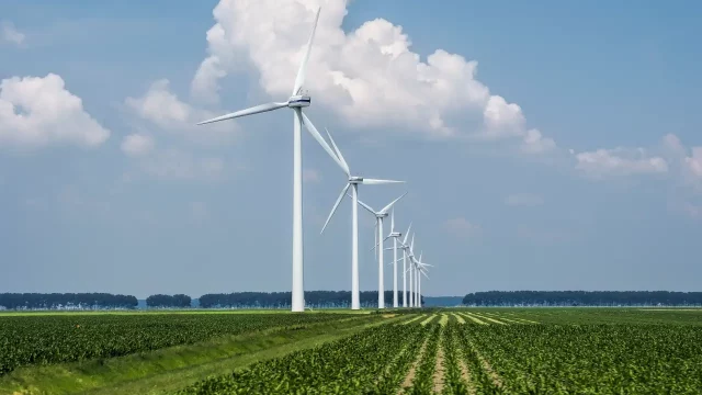 La energía eólica no funciona, encarece la factura eléctrica y estropea el paisaje: Trump