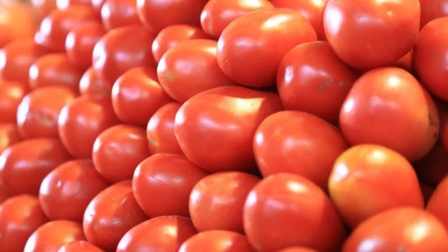 Precios mínimos al tomate protegerán 400,000 empleos directos: productores