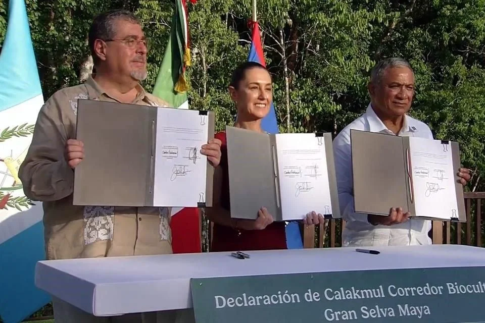 Pactan México, Guatemala y Belice protección de Selva Maya