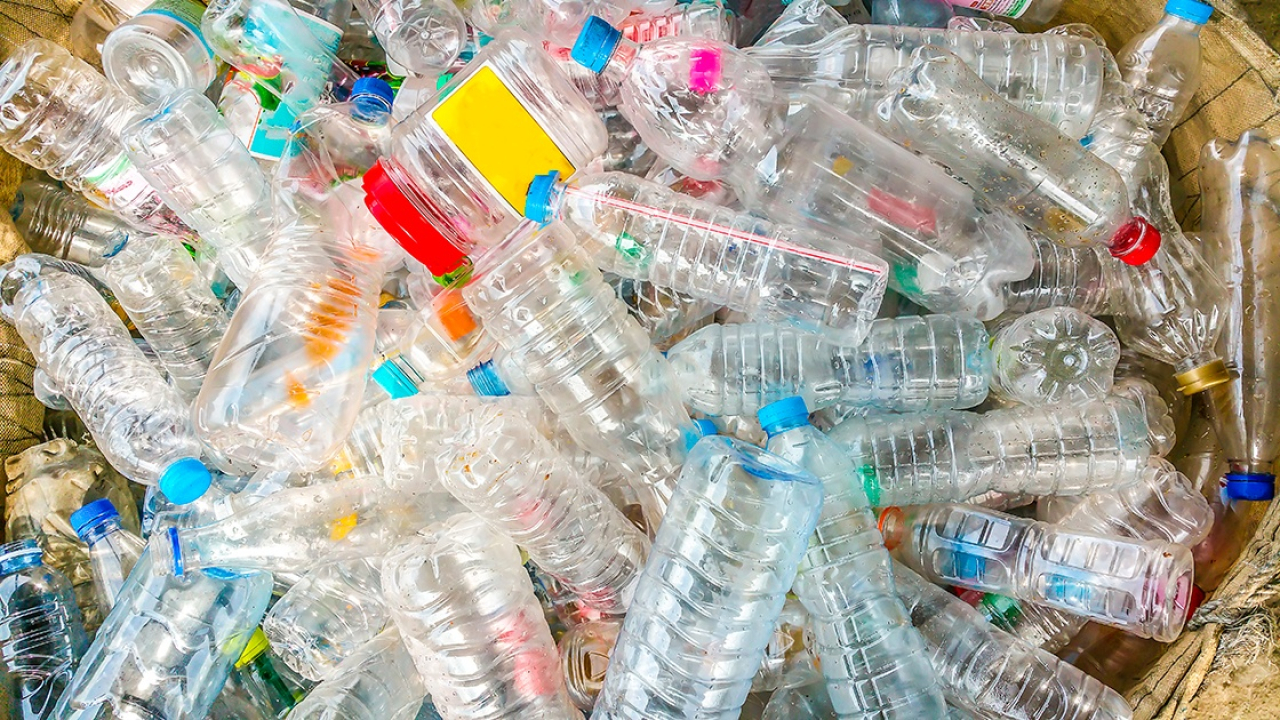 Mitos del reciclaje en México: la brecha entre lo que se dice y la realidad