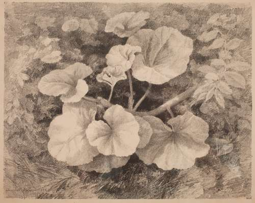 Aflora la faceta “más íntima y científica de José María Velasco”