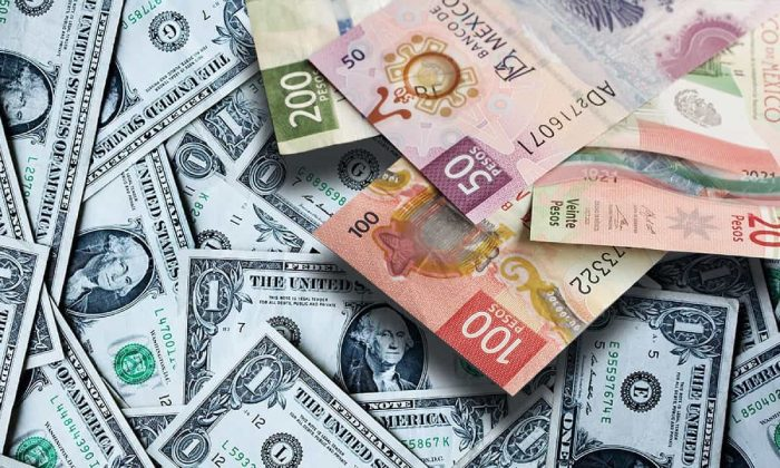 Envíos caerán 4.5% anual al cierre del 2025