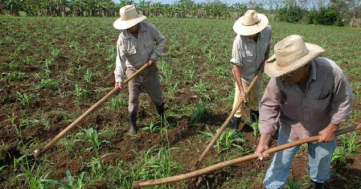 El espejismo del desarrollo: sin industria y sin campo