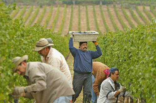 Acumulan las remesas siete meses de retrocesos anuales